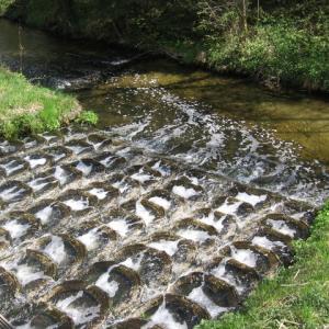 comp_Glan_Einleitung_KA_Feldkirchen_1-1