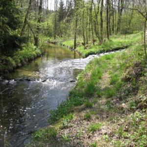 comp_Glan_Einleitung_KA_Feldkirchen_8-1